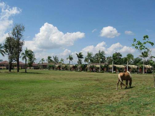 Busai Country View