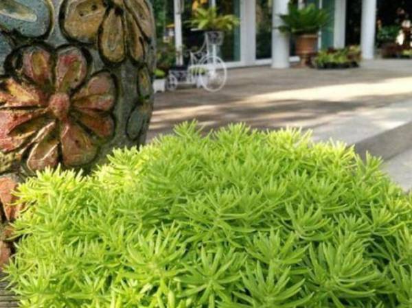 Sawasdee Khao Yai Hotel