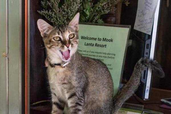 Mook Lanta Eco Resort