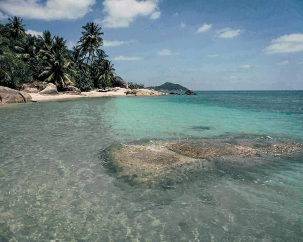 Somewhere Only We Know