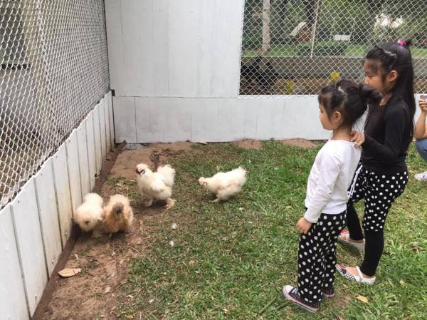 Supalai Pasak Resort Hotel And Spa