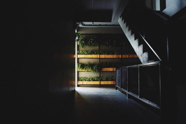 Triple B sleep and relax