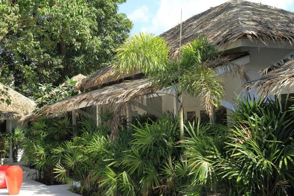 The White Cottage