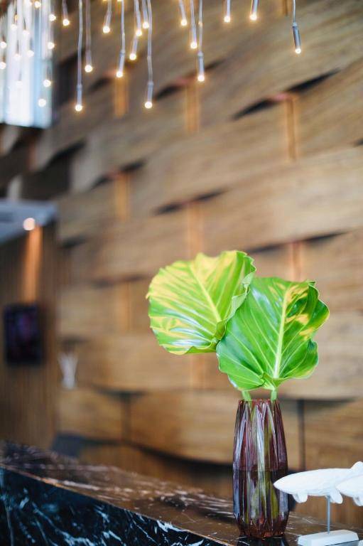 Rak Elegant Hotel Patong - SHA Extra Plus