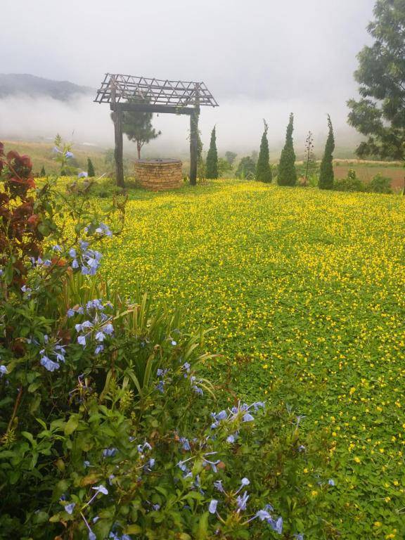 Baan Ing Phu บ้านอิงภู