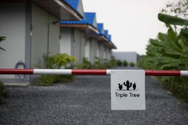 The Triple Tree Resort.
