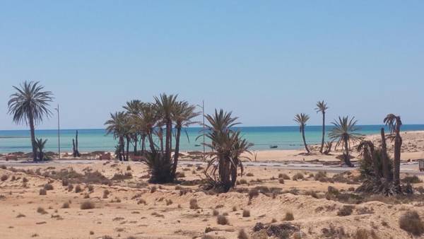 Dar Chick Yahia Ile De Djerba