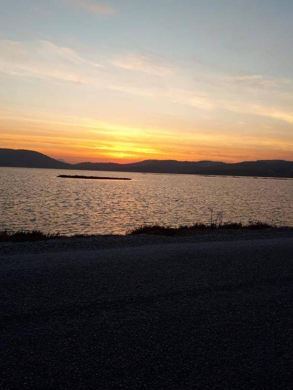 Green House Boğaziçi-Dodo House