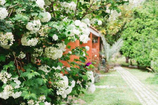 Village Garden Pansiyon