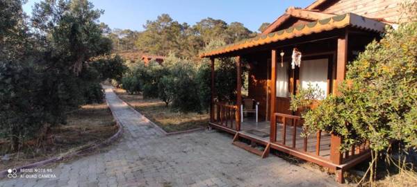 olive garden bungalow