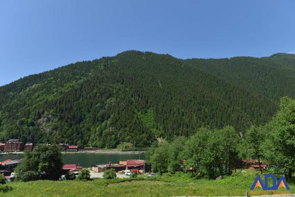 Uzungöl Bungalow