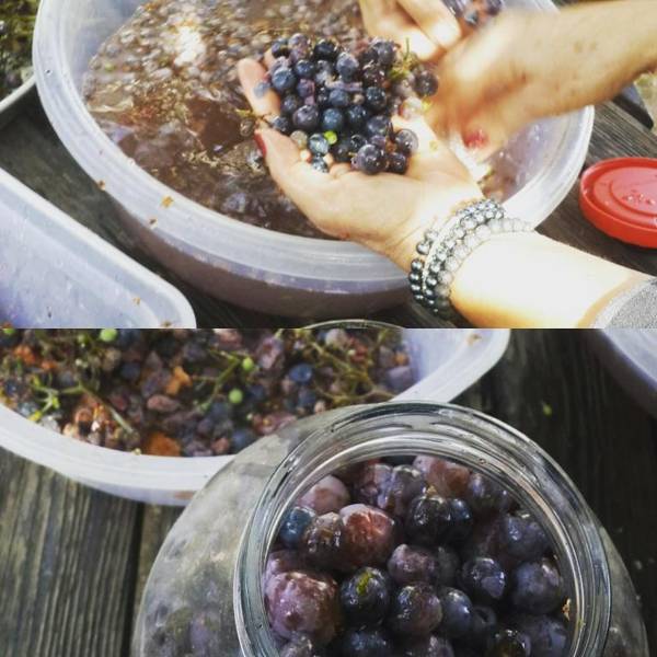 Melekler Evi Cave Hotel