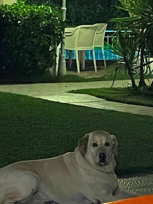 Belka Golf Residence b7