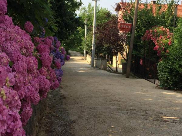 Sapanca Dilek Konagi Hotel