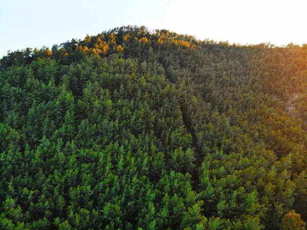 Bucak Apart Hotel Gocek & Beach