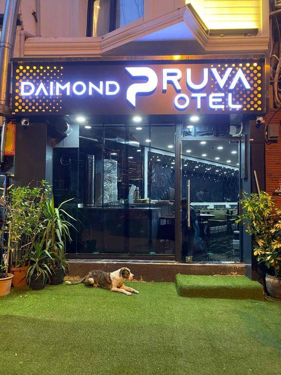 Diamond Pruva Hotel