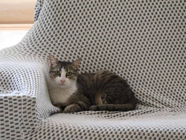 Hotel Garden Terrace 1