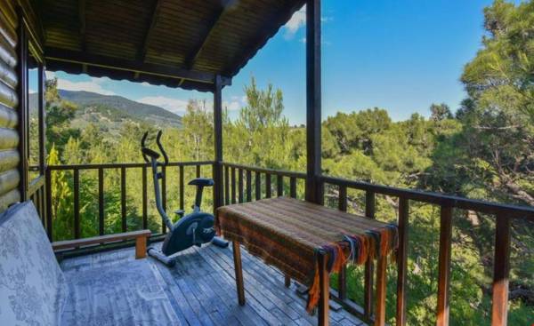 Jippe Ida Dag Evleri