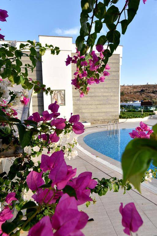 Royal Palm Residence