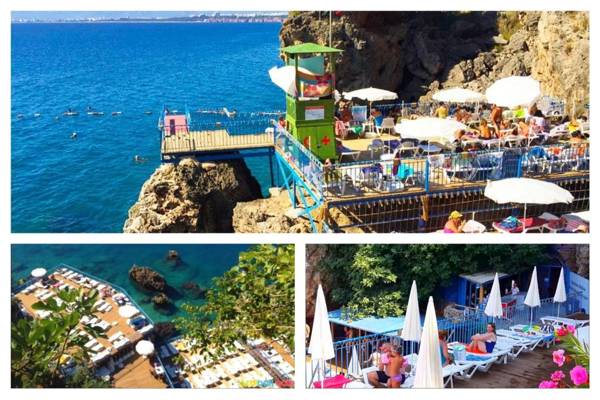 Entire apartment near the beach