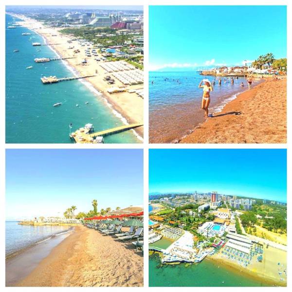 Entire apartment near the beach