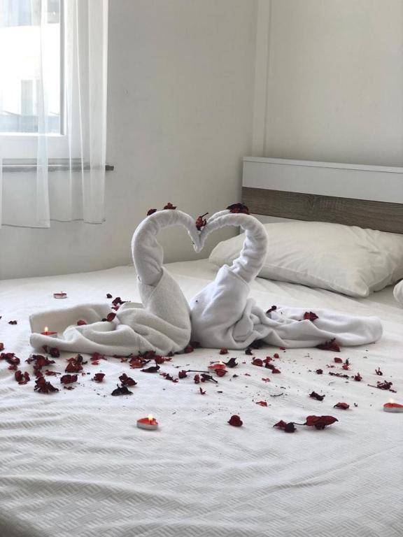 VERA PARK PREMIUM APART OTEL