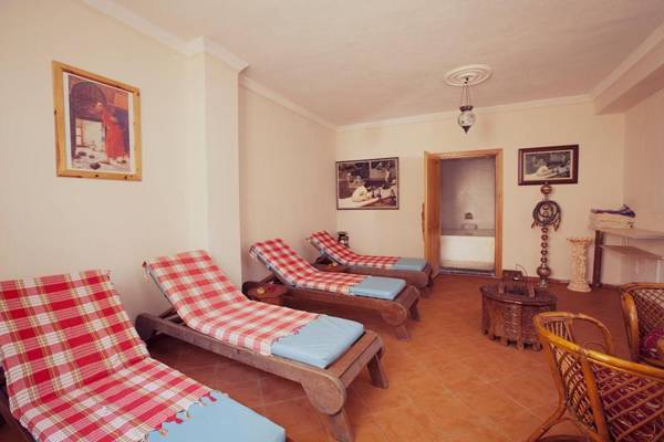 Catty Cats Garden Hotel