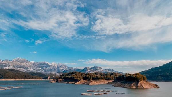 Dolphin Boutique Hotel & Restaurant