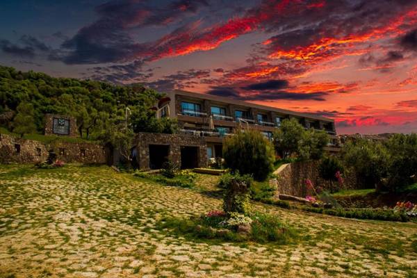 Assos Longevity Hotel