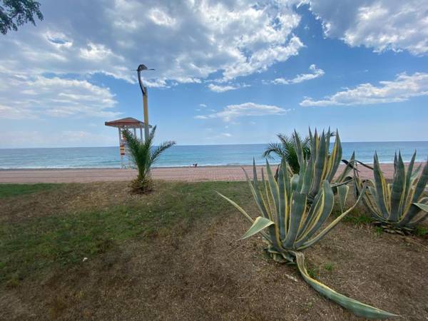 Mert Hotel Beach