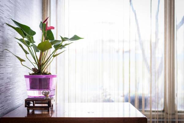 Golden Phoenix Hotel