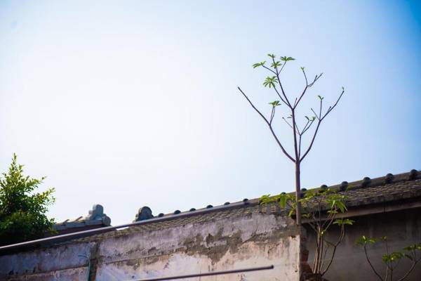 Here Sleep Guesthouse