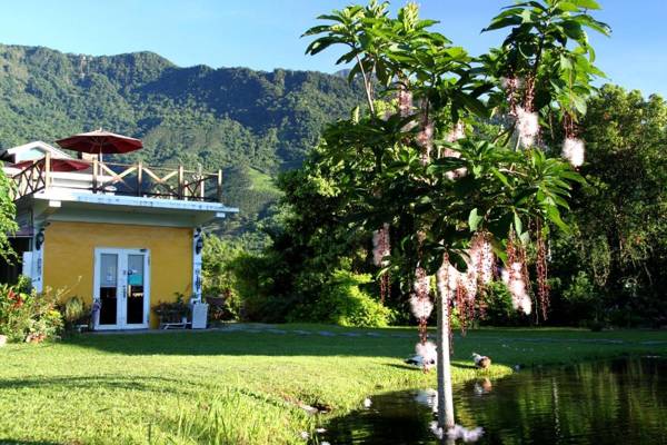 發現樹湖民宿 Tree Lake B&B Hualien