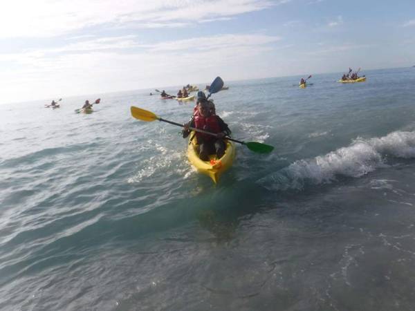 五葉松民宿-電梯民宿 近慈濟中小學及慈科大及人社院