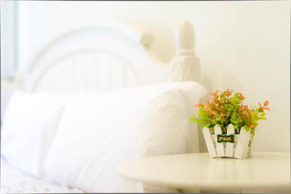 Hualien Bird's House Hostel