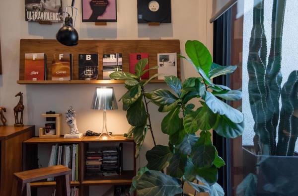 Boy apartment -Adult only