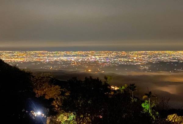 Starlight Forest B&B