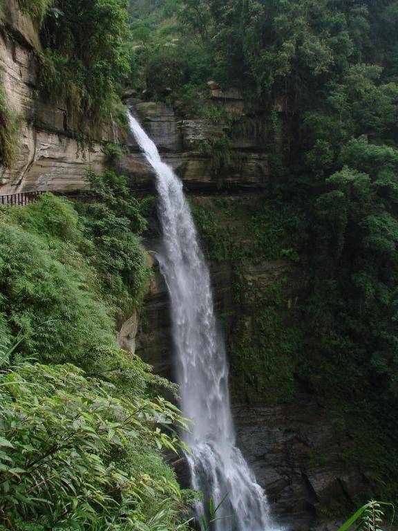 Gaodiyuan Tea B&B 高帝園茶業民宿