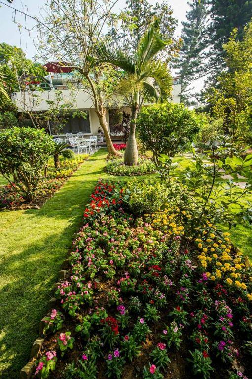 Xiaonanhai Garden Coffee Homestay