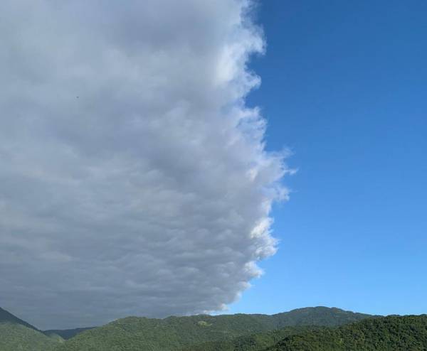 Sun Moon Mountain Farm Homestay