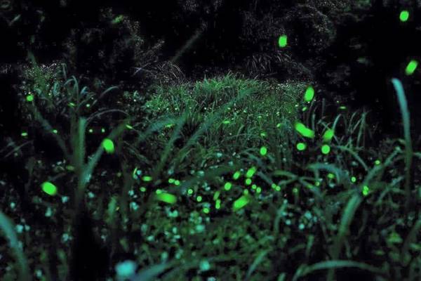 Natural Residence B&B