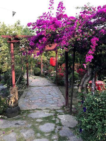 Chinese garden houses