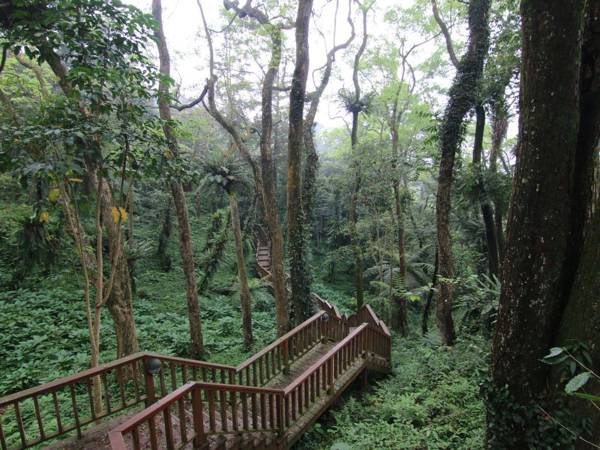 Chan Shuo The Pavilion of Phoenix