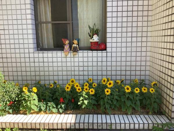 Huashan Heyuan Homestay