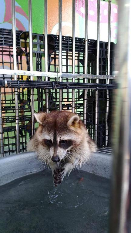 Alice Wonderland B&B