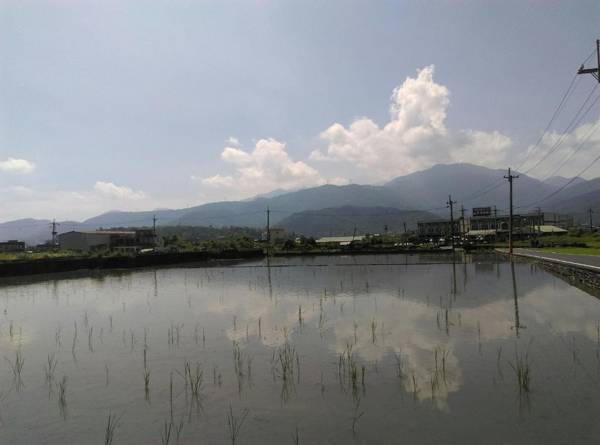 On The Side of The Water