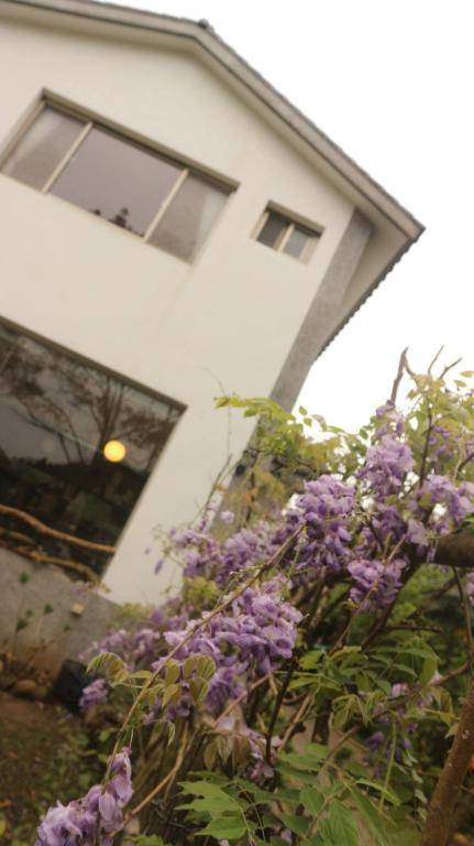 Wan Lake Coffee Villa