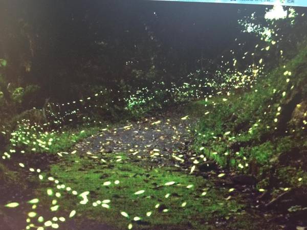 Pas-Taai Leisure Farm