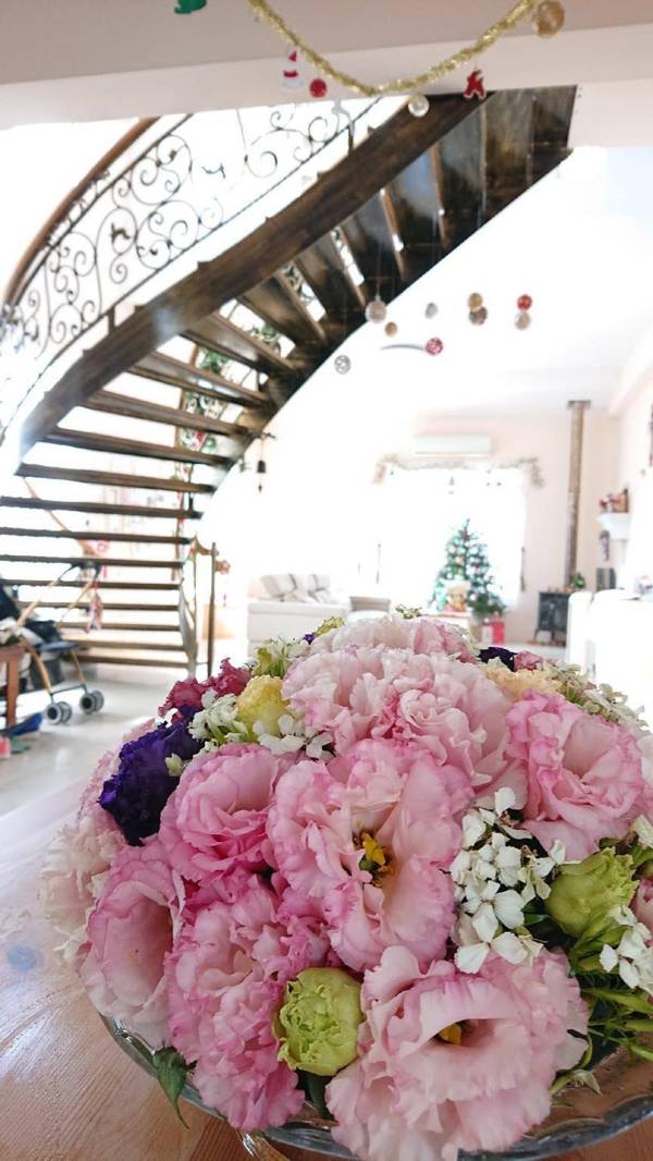 The Nest of Stray Birds