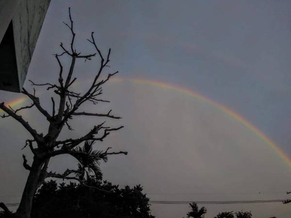 Chentien Changkuang Homestay